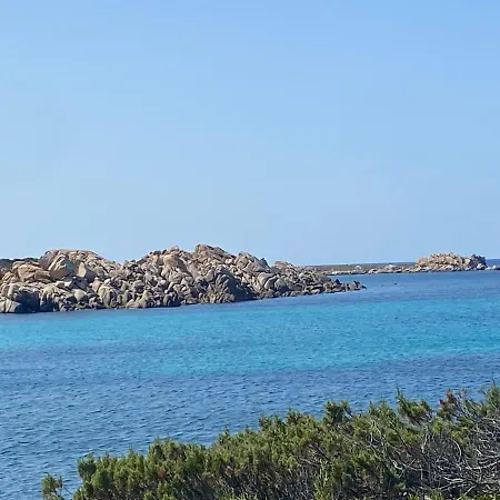 Appt T3 Terrasse Dans Bord De Avec Piscine Pianottoli-Caldarello (Corsica)