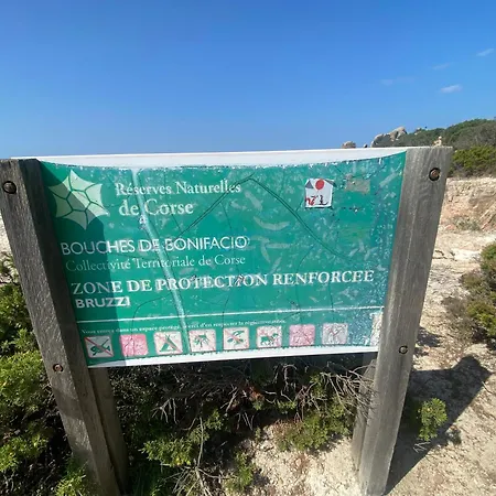 Appt T3 Terrasse Dans Bord De Avec Piscine Lejlighed Pianottoli-Caldarello (Corsica)