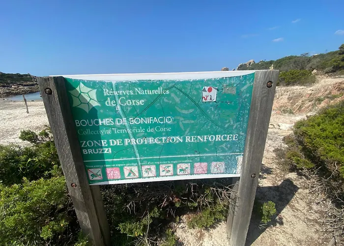 Appt T3 Terrasse Dans Bord De Avec Piscine Apartment Pianottoli-Caldarello (Corsica)